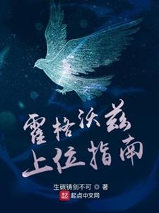 霍格沃兹上位指南