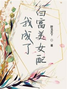 我成了白富美女配