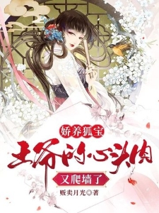 娇养狐宝：王爷的心头肉又爬墙了