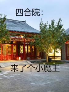 四合院：来了个小魔王