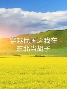 穿越民国之我在东北当胡子