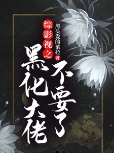 综影视之黑化大佬不要了！