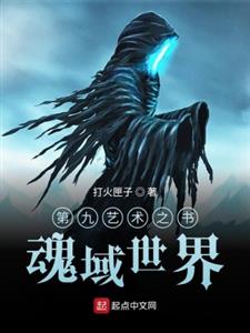 第九艺术之书魂域世界